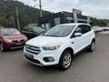 Ford Kuga Trend Top Zustand! TÜV bis 04/2027! Weiß - thumbnail 1