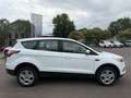 Ford Kuga Trend Top Zustand! TÜV bis 04/2027! Weiß - thumbnail 6