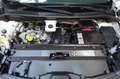 Renault Kangoo III Rapid Extra TüvNeu Variositz KlimaPDC Blanc - thumbnail 10