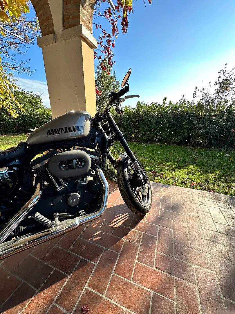 Harley-Davidson Roadster 1200 srebrna - 1