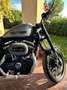 Harley-Davidson Roadster 1200 Argento - thumbnail 8