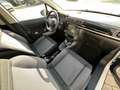 Citroen C3 PureTech 110 EAT6 Shine - S&S 110HP AUTOMATIK Weiß - thumbnail 15