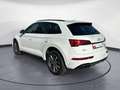 Audi Q5 40 TFSI quattro S-tronic S-Line Business Navi Weiß - thumbnail 4