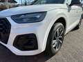 Audi Q5 40 TFSI quattro S-tronic S-Line Business Navi Weiß - thumbnail 13