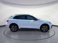 Audi Q5 40 TFSI quattro S-tronic S-Line Business Navi Weiß - thumbnail 6