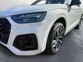 Audi Q5 40 TFSI quattro S-tronic S-Line Business Navi Weiß - thumbnail 13