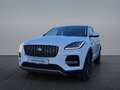 Jaguar E-Pace E-PACE D165 Winter Pack SHZ PIVI PRO Weiß - thumbnail 1