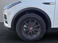 Jaguar E-Pace E-PACE D165 Winter Pack SHZ PIVI PRO Weiß - thumbnail 9