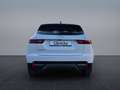 Jaguar E-Pace E-PACE D165 Winter Pack SHZ PIVI PRO Weiß - thumbnail 7