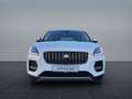 Jaguar E-Pace E-PACE D165 Winter Pack SHZ PIVI PRO Weiß - thumbnail 8