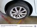 Volkswagen Golf VIII 2.0 TDI DSG Navi PDC LED uvm Weiß - thumbnail 8