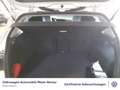 Volkswagen Golf VIII 2.0 TDI DSG Navi PDC LED uvm Weiß - thumbnail 9