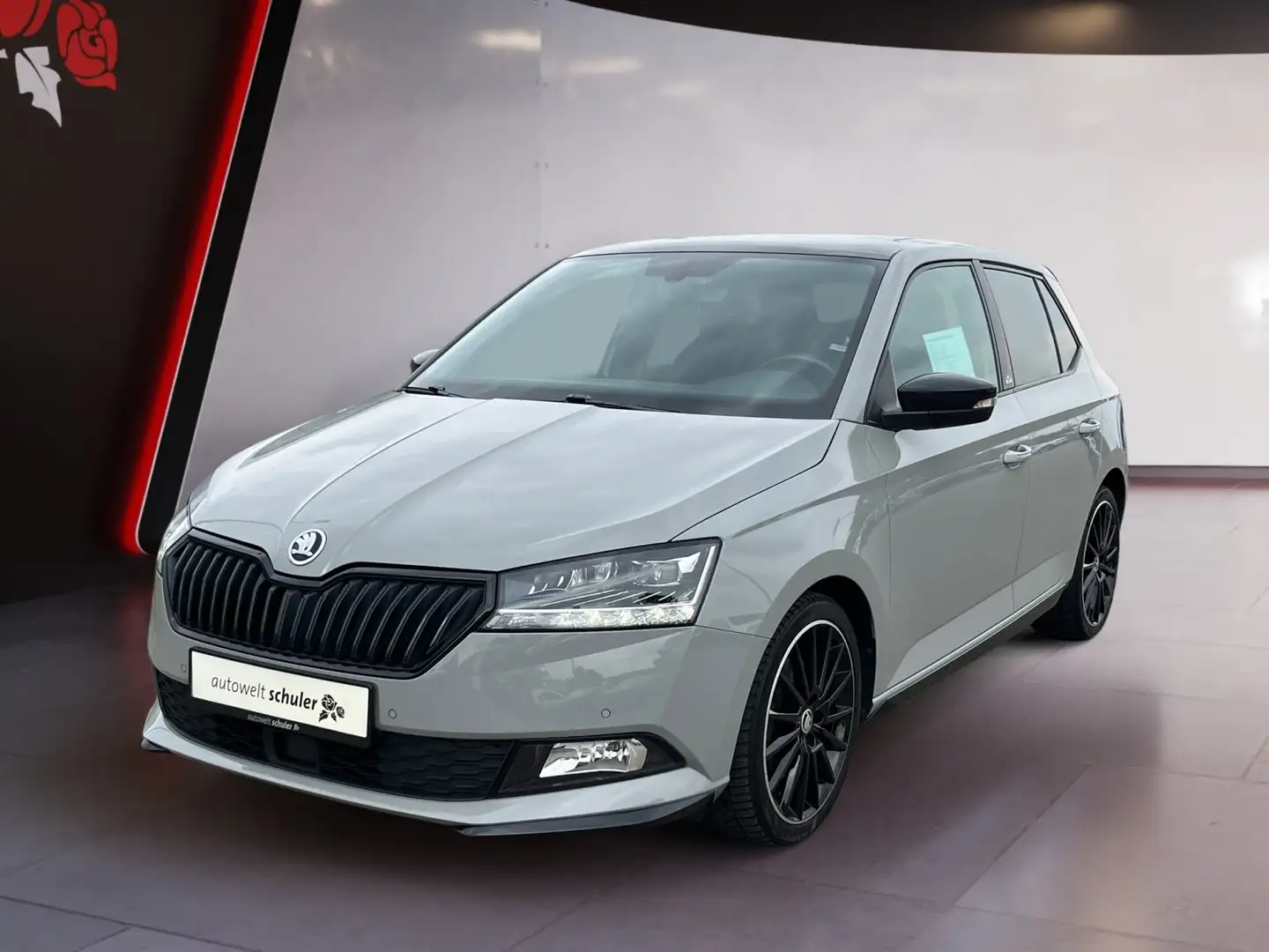 Skoda Fabia 1,0 TSI Monte Carlo Smart Link Grau - 1