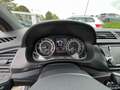 Skoda Fabia 1,0 TSI Monte Carlo Smart Link Grau - thumbnail 12