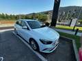 Mercedes-Benz B 180 Classe B - W247 2018d Sport Plus auto Bianco - thumbnail 1