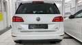 Volkswagen Golf Sportsvan Allstar BMT/Start-Stopp 2.HD NAVI PDC Scheckheft Weiß - thumbnail 9