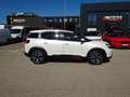 Citroen C5 Aircross PureTech 180 S&S Shine EAT8 Aut. Weiß - thumbnail 19