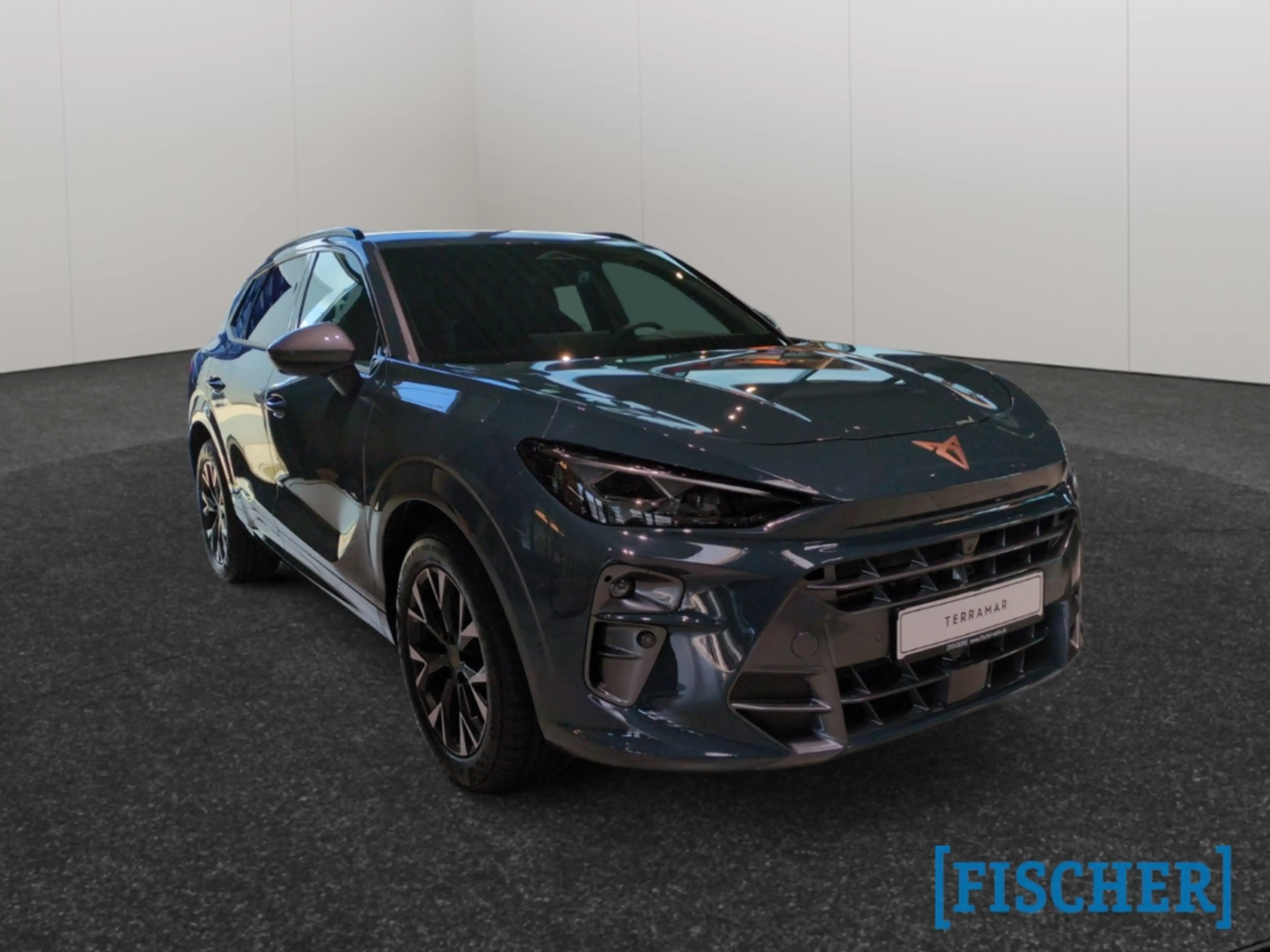 CUPRA Terramar 1.5 e-Hybrid 150 kW HUD AHK-klappbar Navi Digitale — photo 3