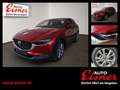 Mazda CX-30 G140 AT CENTRE-LINE DESI BIG DEAL Rot - thumbnail 1