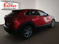 Mazda CX-30 G140 AT CENTRE-LINE DESI BIG DEAL Rot - thumbnail 13