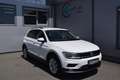 Volkswagen Tiguan 2,0 TDI SCR 4Motion ACC Weiß - thumbnail 1