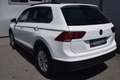 Volkswagen Tiguan 2,0 TDI SCR 4Motion ACC Weiß - thumbnail 4