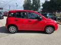 Fiat Panda 1.0 FireFly S&S Hybrid PROMO Rosso - thumbnail 10