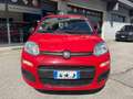 Fiat Panda 1.0 FireFly S&S Hybrid PROMO Rosso - thumbnail 9
