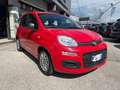 Fiat Panda 1.0 FireFly S&S Hybrid PROMO Rosso - thumbnail 1