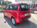 Fiat Panda 1.0 FireFly S&S Hybrid PROMO Rosso - thumbnail 4
