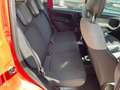 Fiat Panda 1.0 FireFly S&S Hybrid PROMO Rosso - thumbnail 8