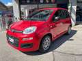 Fiat Panda 1.0 FireFly S&S Hybrid PROMO Rosso - thumbnail 3