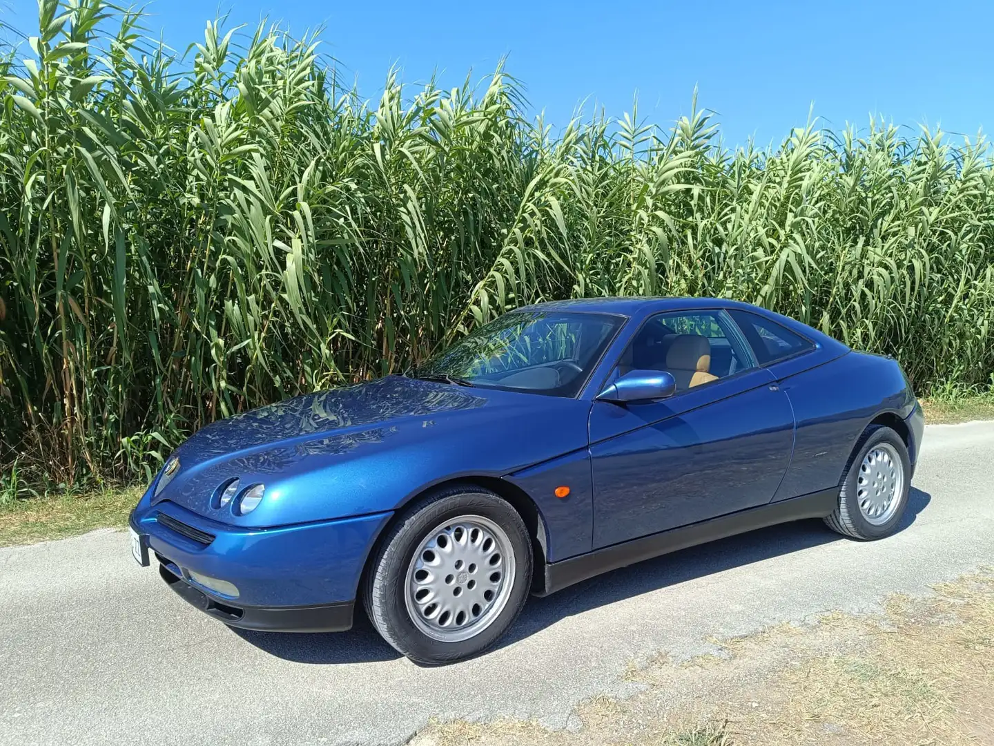 Alfa Romeo GTV 2.0 V6 tb c/pelle Momo - 2