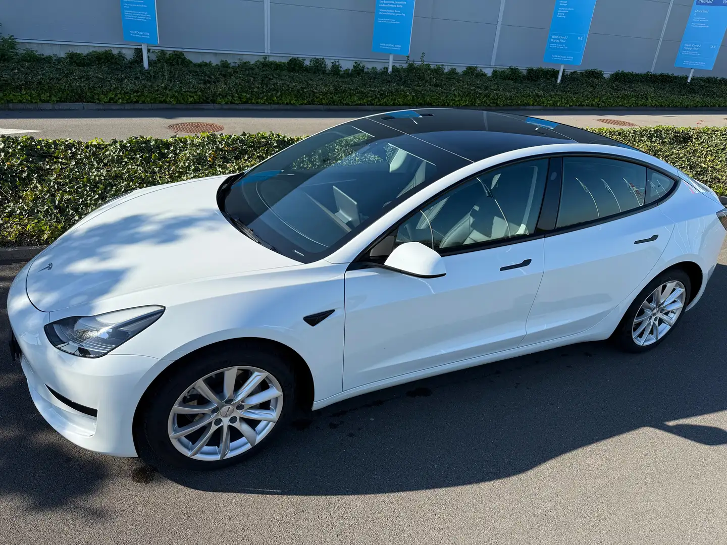 Tesla Model 3 Model 3 55 kWh Standard Plus Wit - 1