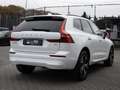 Volvo XC60 B4 Momentum Pro H/K AHK STANDHZ LED 360° Weiß - thumbnail 2