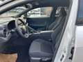 Toyota C-HR Plug-in Hybrid 2,0L Teamplayer 4x2 Bianco - thumbnail 11