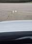 Volvo XC90 XC90 T8 AWD Twin Engine Geartronic Excellence Blanco - thumbnail 7