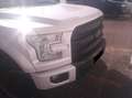 Ford F 150 Bianco - thumbnail 11