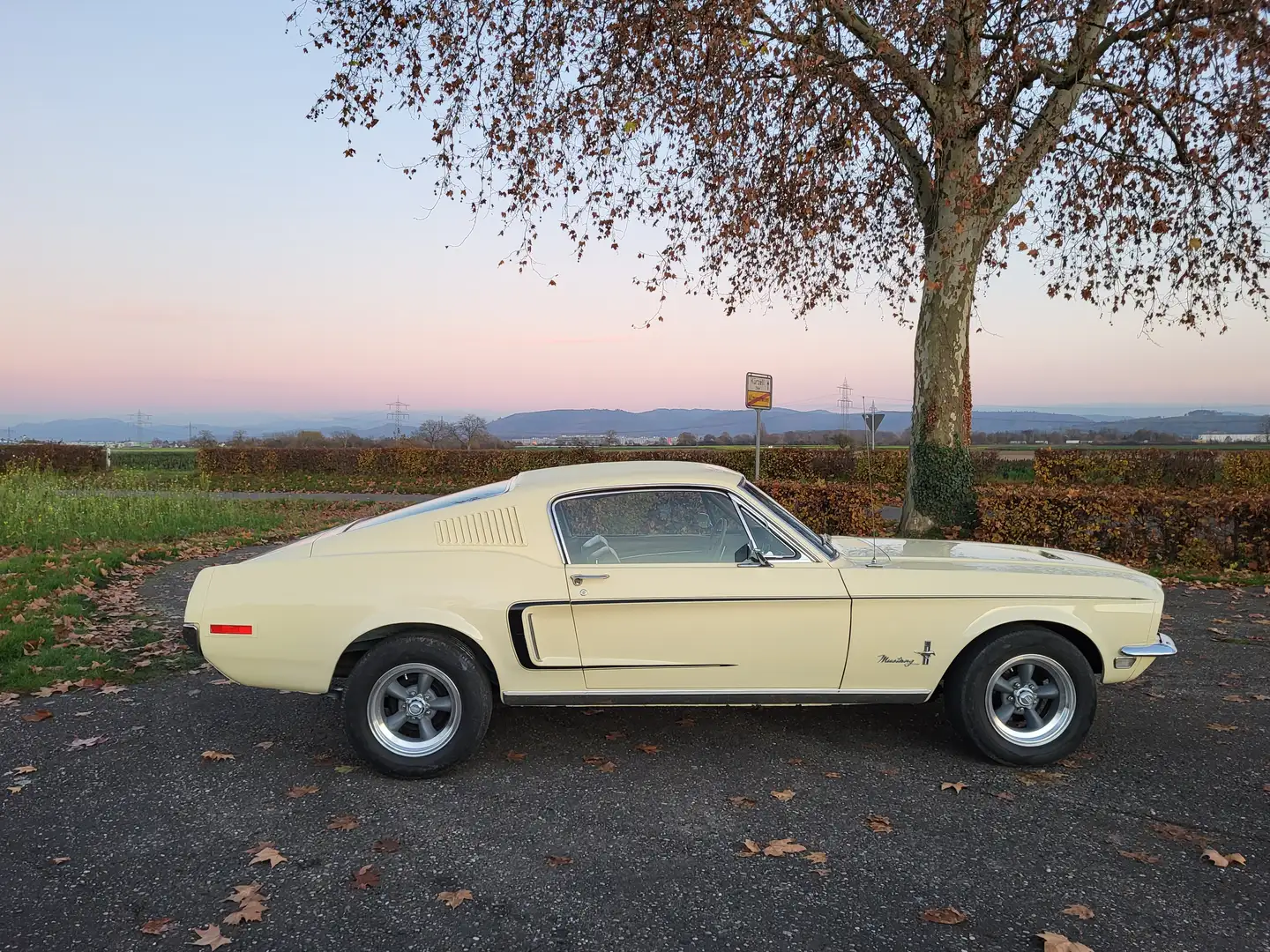 Ford Mustang Fastback, 289ci V8, C-Code, California-Car, Nice! Gelb - 2