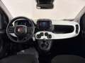Fiat Panda 1.2 GSE - thumbnail 18