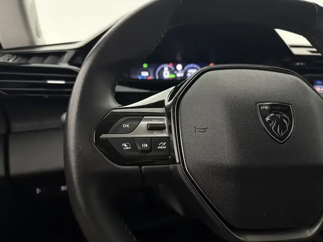 Peugeot 308 view 25