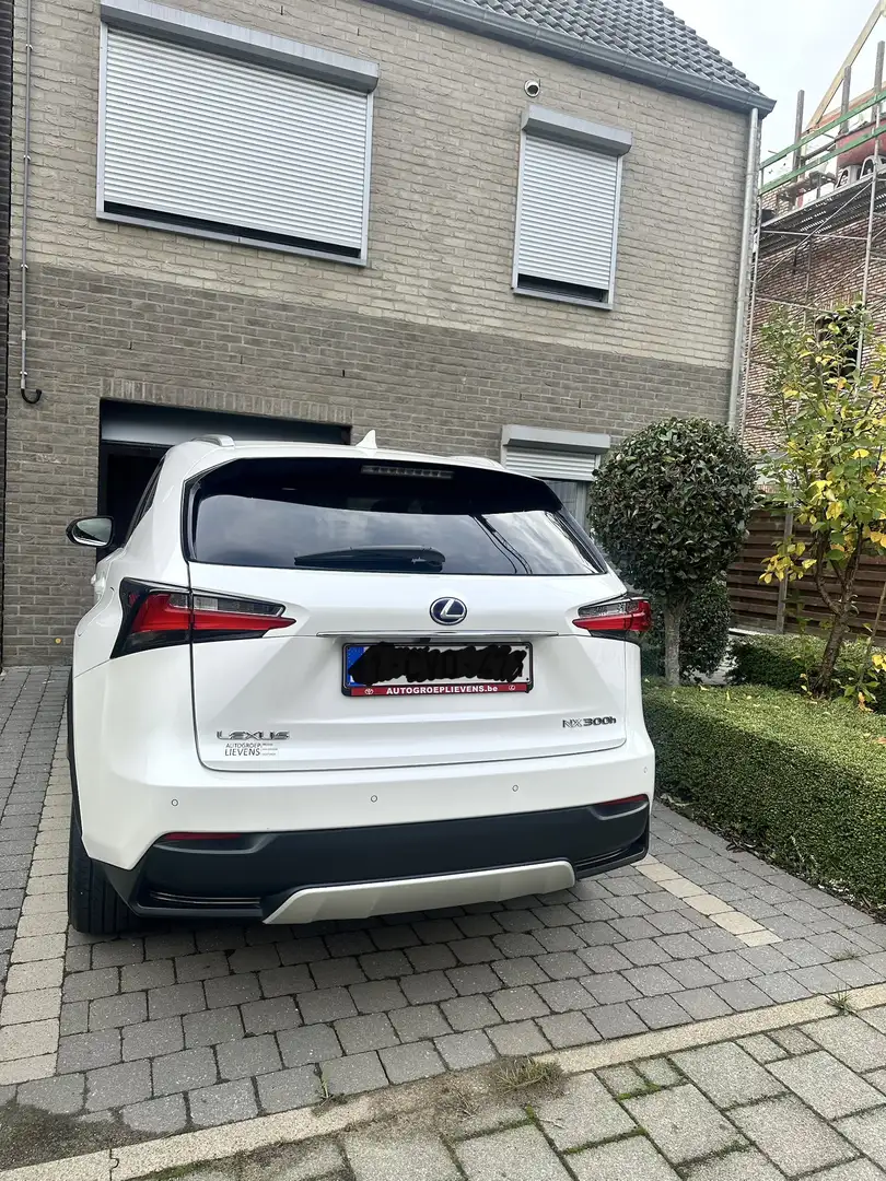 Lexus NX 300h E-FOUR Luxury Line - 2