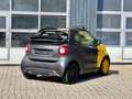 smart forTwo Brabus Cabrio Final Collector Edition #21 Noir - thumbnail 5