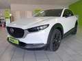 Mazda CX-30 2.0SKYACTIV-G Homura+LED+NAVI+KAMERA Weiß - thumbnail 9