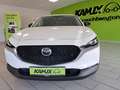 Mazda CX-30 2.0SKYACTIV-G Homura+LED+NAVI+KAMERA Weiß - thumbnail 10