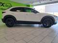 Mazda CX-30 2.0SKYACTIV-G Homura+LED+NAVI+KAMERA Weiß - thumbnail 3