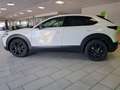 Mazda CX-30 2.0SKYACTIV-G Homura+LED+NAVI+KAMERA Weiß - thumbnail 8