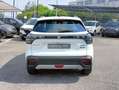 Suzuki S-Cross Gpl 4x4 1.4 AllGrip Starview Model. 2025 Weiß - thumbnail 26