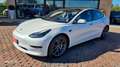 Tesla Model 3 Model 3 Standard rwd Plus Weiß - thumbnail 1