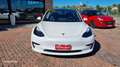 Tesla Model 3 Model 3 Standard rwd Plus Weiß - thumbnail 11